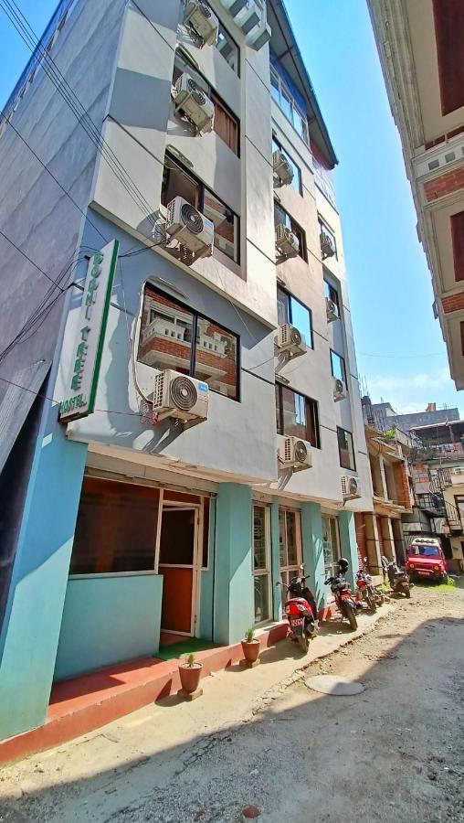 Bodhi Tree Hostel Catmandu Exterior foto